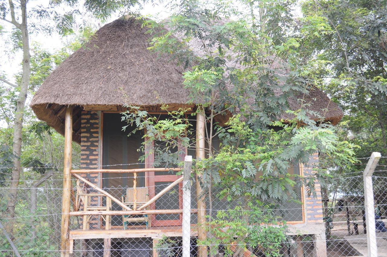 Irungu Forest Safari Lodge Katunguru Eksteriør billede