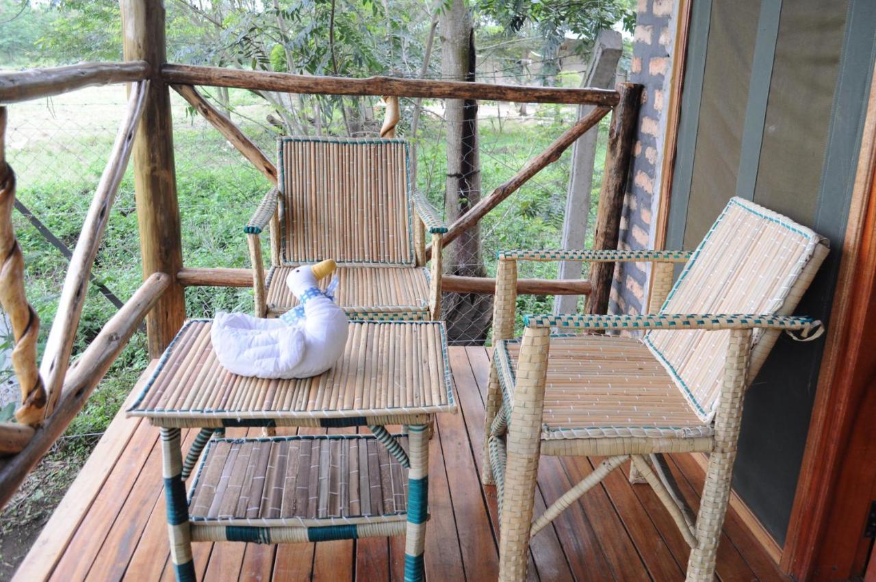 Irungu Forest Safari Lodge Katunguru Eksteriør billede