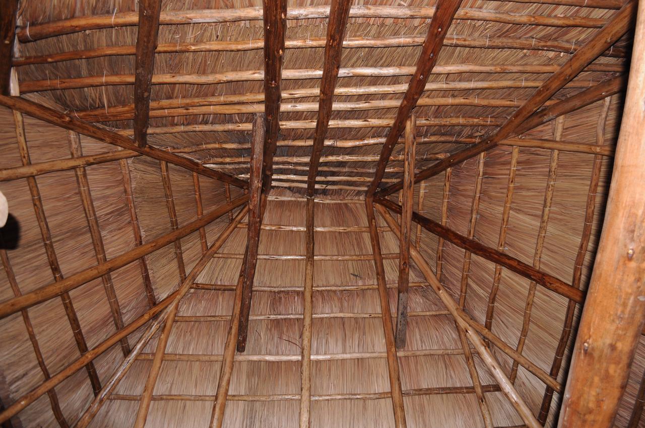 Irungu Forest Safari Lodge Katunguru Eksteriør billede