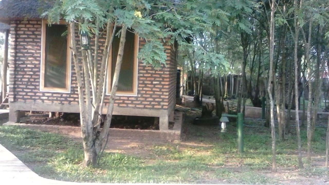 Irungu Forest Safari Lodge Katunguru Eksteriør billede
