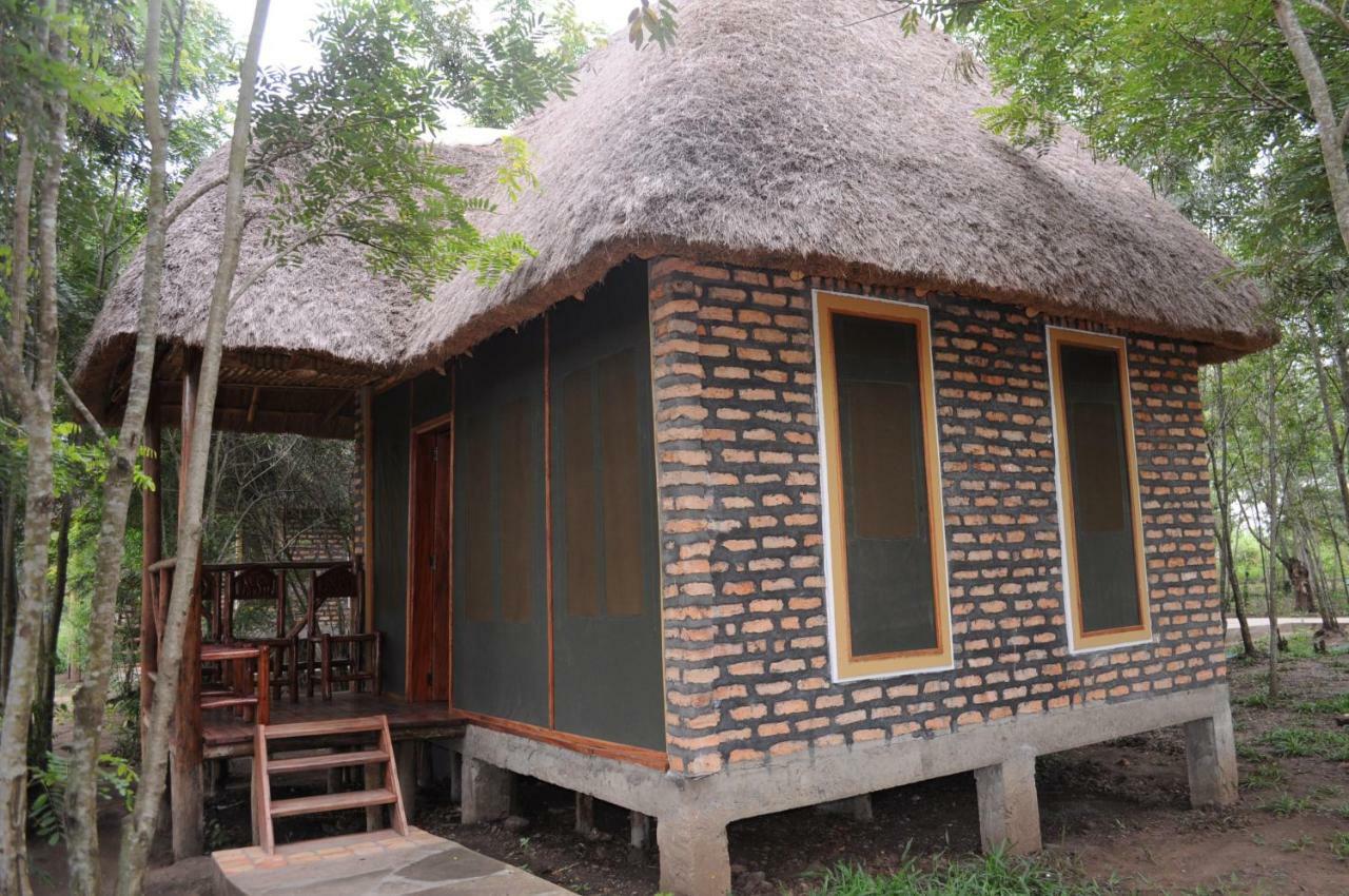 Irungu Forest Safari Lodge Katunguru Eksteriør billede