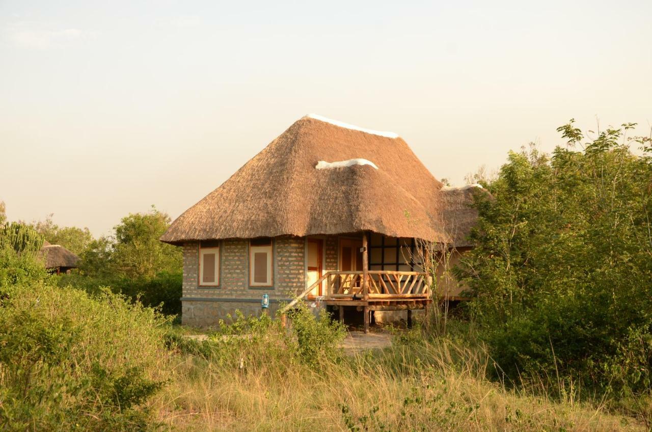 Irungu Forest Safari Lodge Katunguru Eksteriør billede