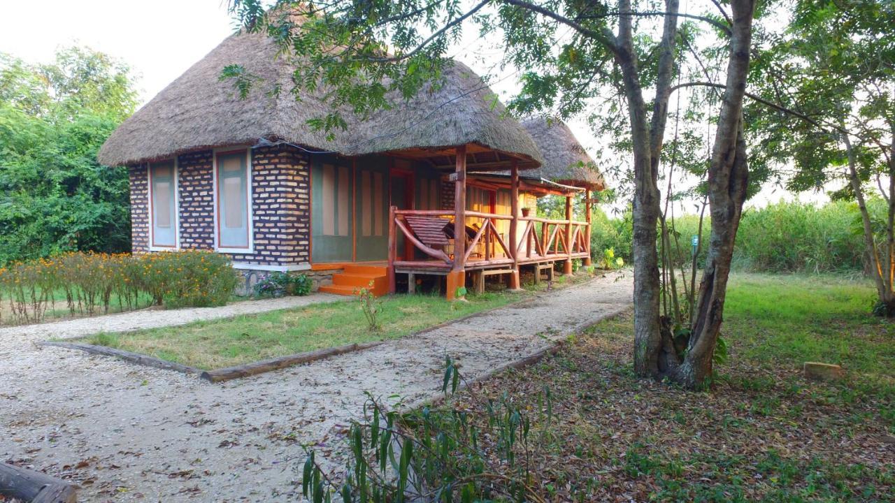 Irungu Forest Safari Lodge Katunguru Eksteriør billede